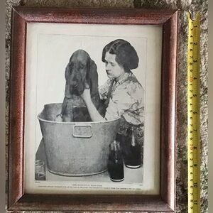 Vintage Bloodhound Bath Time Framed photo Print